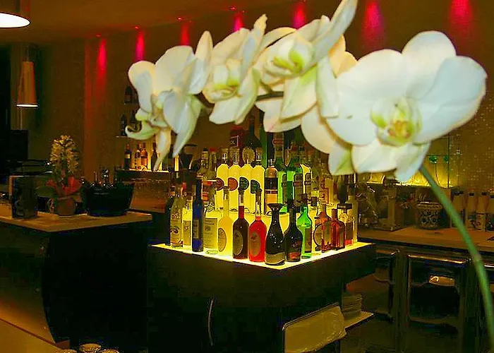 蒙特卡洛酒店 酒店 4*